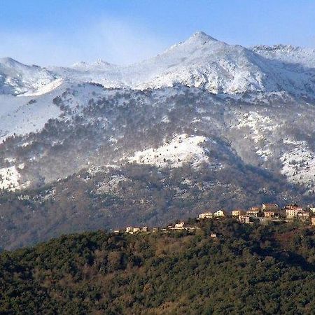 Casa Bonino Hotel Prunelli-di-Fiumorbo Luaran gambar