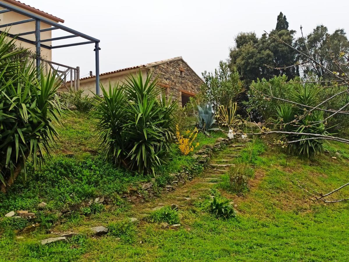 Casa Bonino Hotel Prunelli-di-Fiumorbo Luaran gambar