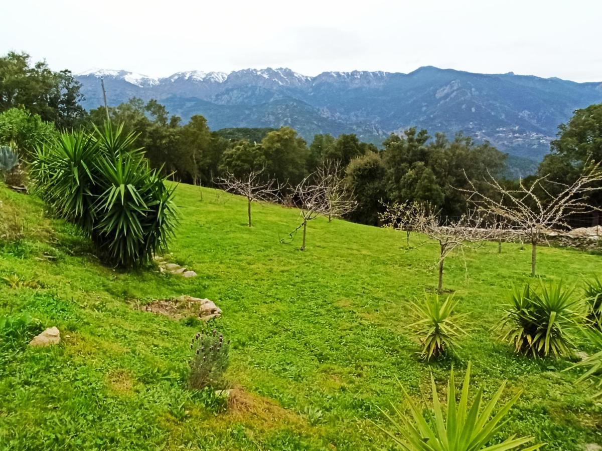 Casa Bonino Hotel Prunelli-di-Fiumorbo Luaran gambar